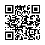 T38000-12-0 QRCode