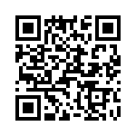 T38002-04-0 QRCode