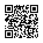 T38011-25-0 QRCode