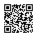 T38012-22-0 QRCode