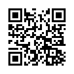 T38013-01-0 QRCode