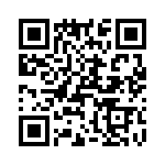 T38015-09-0 QRCode