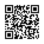 T38017-22-0 QRCode