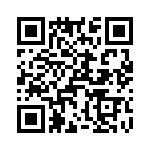 T38018-04-0 QRCode