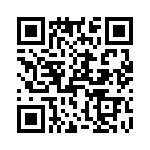 T38021-11-0 QRCode