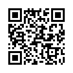 T38021-24-0 QRCode