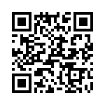 T38022-12-0 QRCode