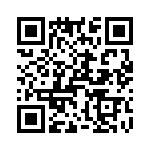 T38028-03-0 QRCode