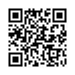 T38028-04-0 QRCode