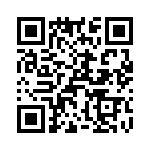 T38028-23-0 QRCode