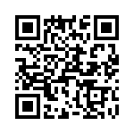 T38031-05-0 QRCode