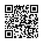 T38033-11-0 QRCode