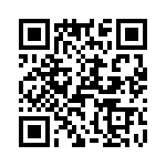 T38040-13-0 QRCode