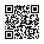 T38041-12-0 QRCode