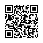 T38042-17-0 QRCode