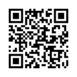 T38045-04-0 QRCode