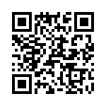 T38057-17-0 QRCode