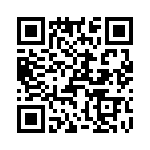 T38060-06-0 QRCode