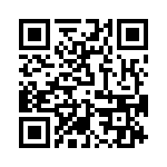 T38062-13-0 QRCode