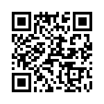 T38062-17-0 QRCode