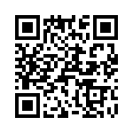 T38063-07-0 QRCode