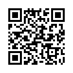 T38065-06-0 QRCode