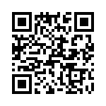 T38071-02-0 QRCode