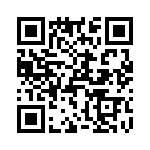 T38073-22-0 QRCode