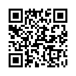 T38100-10-0 QRCode