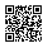 T38102-13-0 QRCode