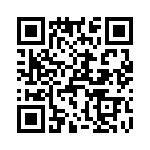 T38103-03-0 QRCode