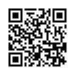 T38110-04-0 QRCode