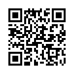 T38111-09-0 QRCode