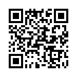 T38130-07-0 QRCode