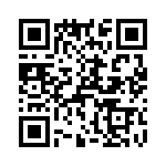 T38131-13-0 QRCode