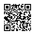 T38133-02-0 QRCode