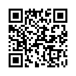 T38133-22-0 QRCode