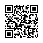 T38140-07-0 QRCode