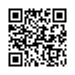 T38153-07-0 QRCode