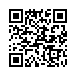 T38163-22-0 QRCode