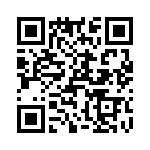 T38165-17-0 QRCode