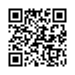 T38175-03-0 QRCode