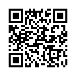 T38175-25-0 QRCode