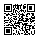 T38210-11-0 QRCode