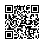 T38210-22-0 QRCode