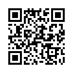 T38221-03-0 QRCode