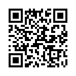 T38221-20-0 QRCode