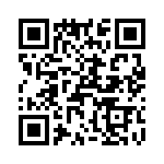 T38238-23-0 QRCode