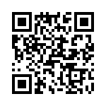 T38310-05-0 QRCode