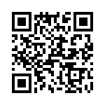 T38312-17-0 QRCode